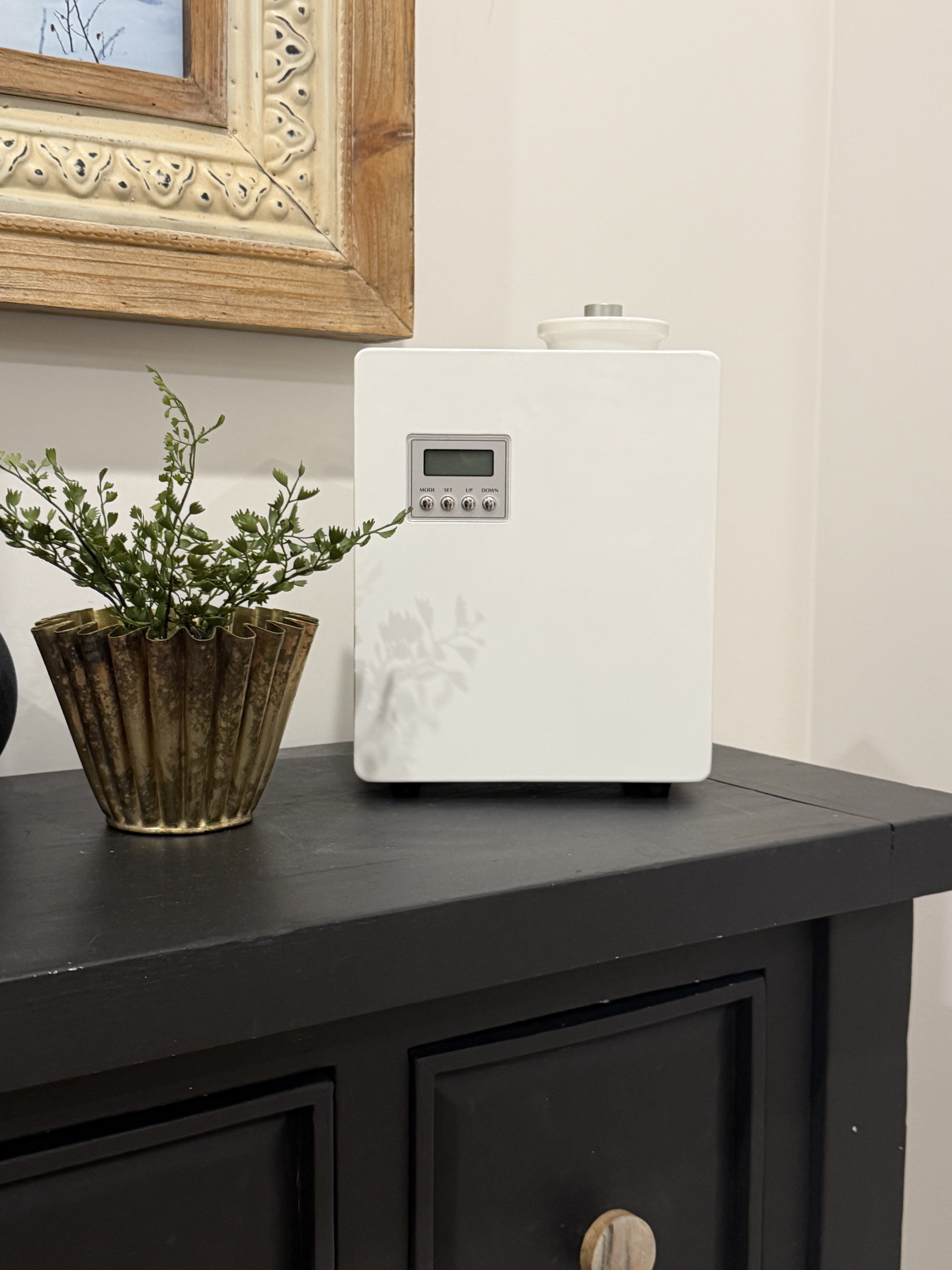 Aeren standalone diffuser